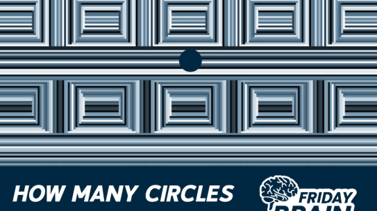 How Many Circles Can You See?