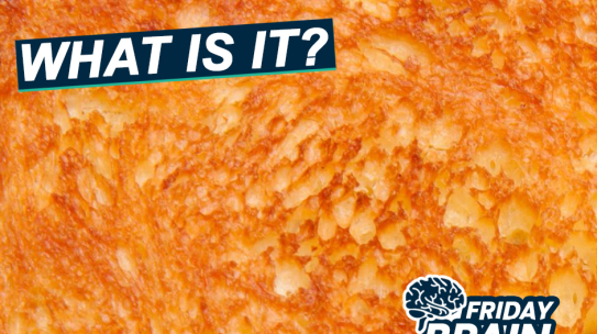 Close Up Challenge – What Could This Be?