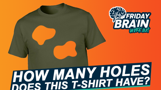 How Many Holes in the T-Shirt?